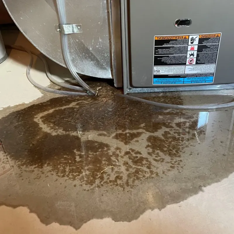 Pipe Burst and Leak Restoration in Shorewood-Tower Hills-Harbert, MI