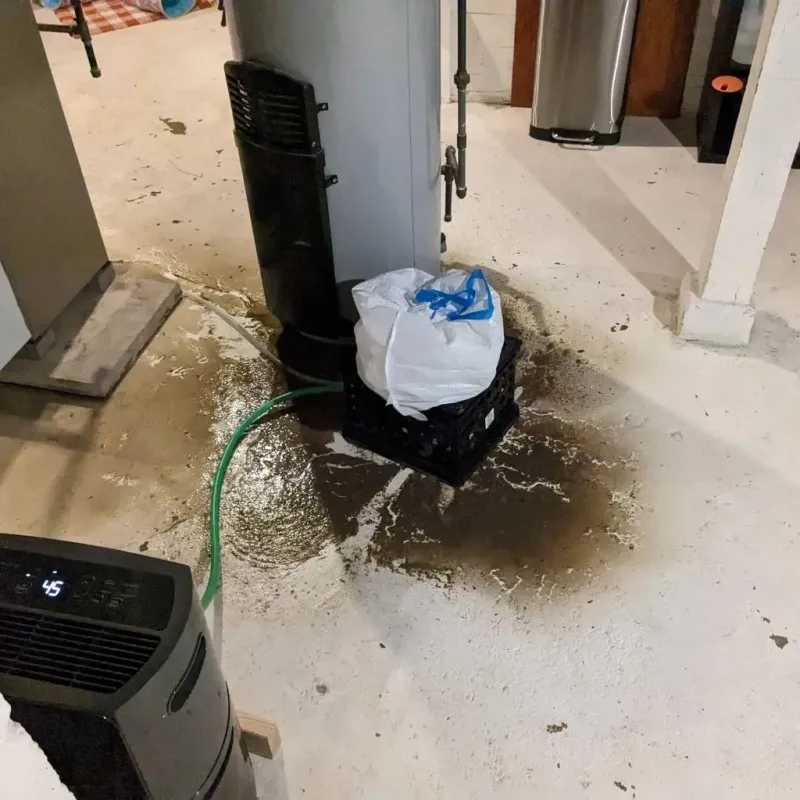 Sewage Backup Cleanup Service in Shorewood-Tower Hills-Harbert, MI